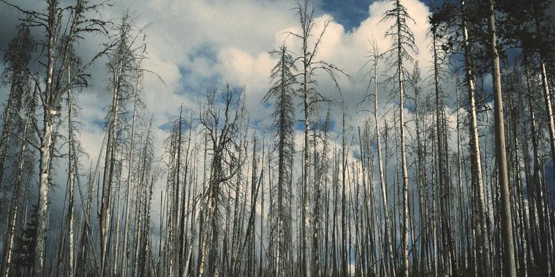 5G核心网切片技术在企业专网中的实践与挑战：一份面向开发者的技术博客与编程资源指南