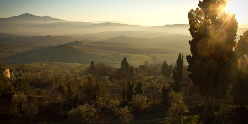 AI如何重塑网络性能监控与故障诊断：后端开发者的技术指南