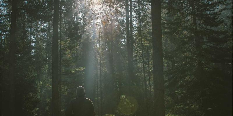 IPv6规模化部署实战指南：后端开发工程师必须掌握的网络演进策略