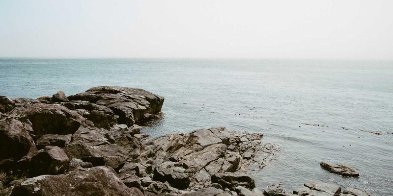 从技术博客到编程资源：三个网络技术案例的深度剖析与学习启示