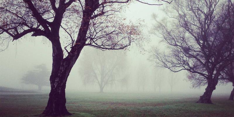 从数据包到洞察力：基于eBPF与开源工具构建下一代网络性能监控体系