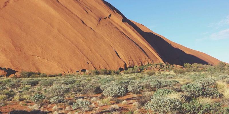 从编程资源到网络架构：SD-WAN如何优化企业多分支组网的成本与性能