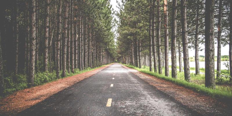 从虚拟化到容器化：NFV与CNF融合如何重塑前后端开发者的网络视野