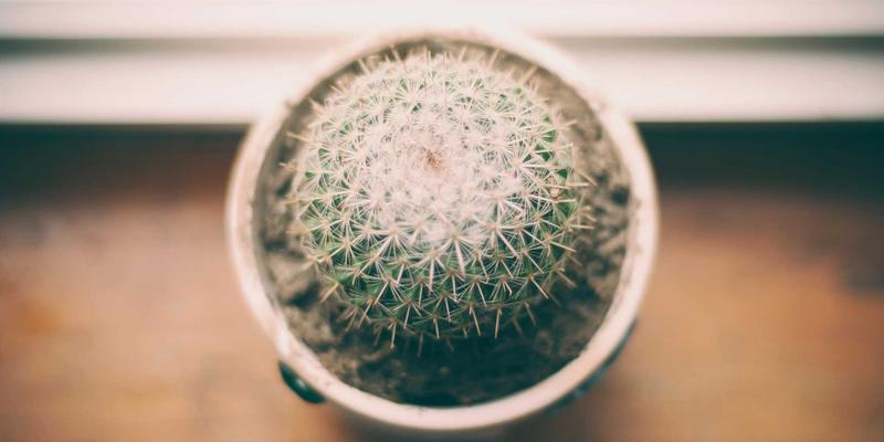 前端开发入门指南:掌握现代网络技术的核心技能