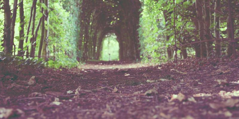 前端开发者必读：如何融合边缘计算与网络技术构建下一代低延迟应用架构