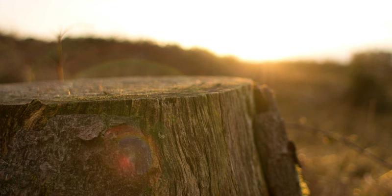 前端开发者必读：网络时间同步技术（PTP/NTP）在金融与工业互联网中的关键作用