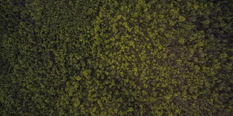 后端开发者必读：400G/800G高速以太网技术演进与数据中心选型指南