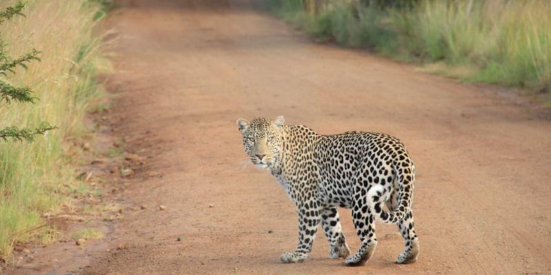 网络技术14：前端开发进阶之路与实战经验分享