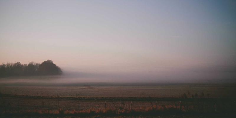 网络技术93：技术博客、学习分享与编程资源的深度探索