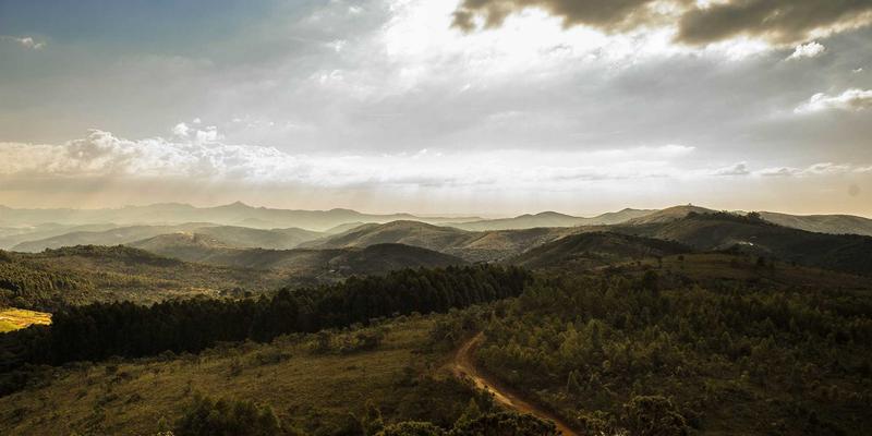 网络技术在现代前端开发中的核心作用与编程资源指南
