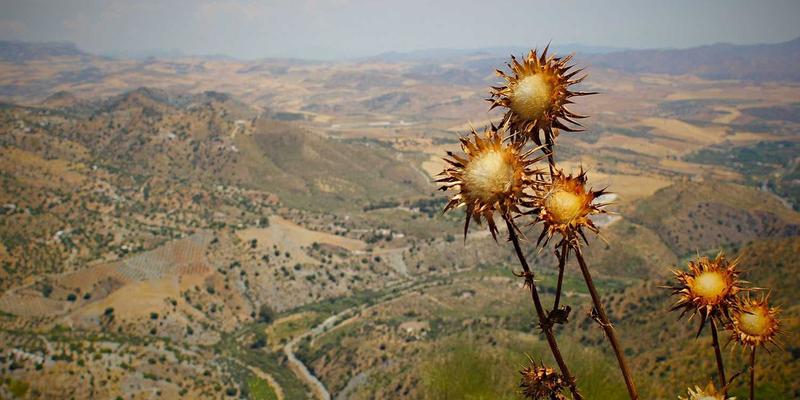 网络技术是什么?从基础概念到后端开发实践的全景解读