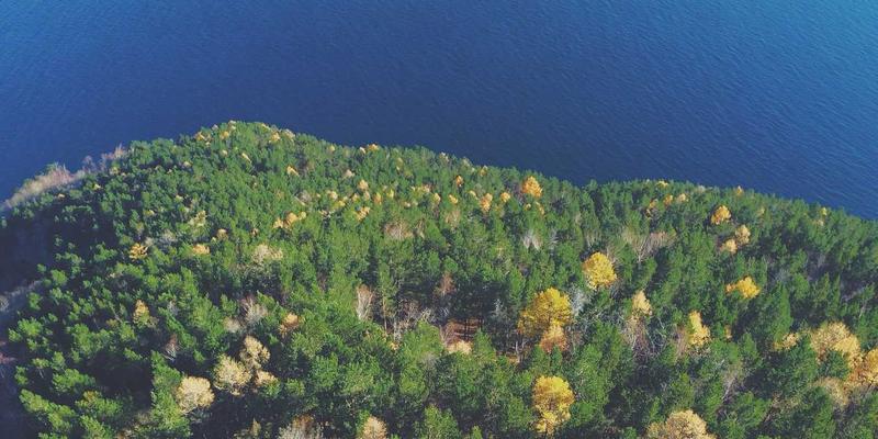 网络技术最佳实践:从学习分享到构建高质量技术博客的完整指南