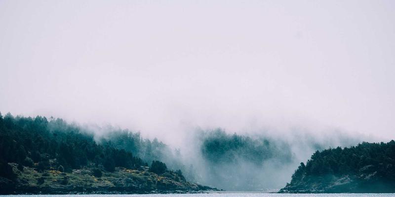 网络技术进阶指南:精选编程资源与技术博客全解析