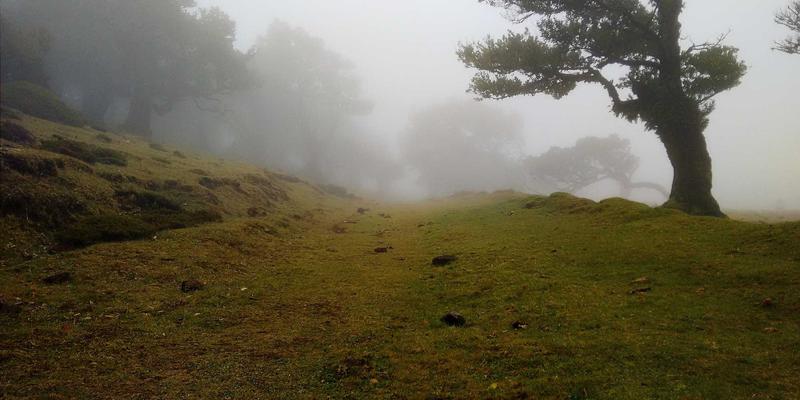 网络数据包代理（NPB）技术：现代网络监控与安全的幕后引擎